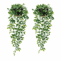 2er Set - Künstliche Hängepflanzen - Roomy